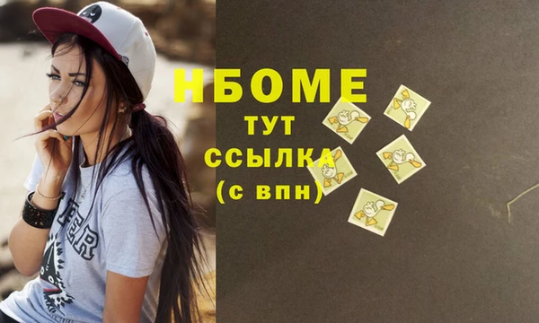 индика Володарск