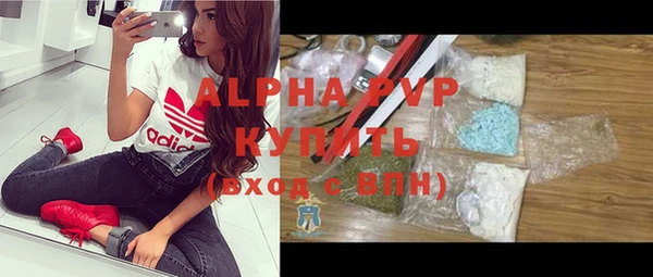 стафф Алексин