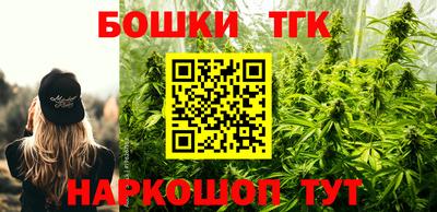 СК Пугачёв
