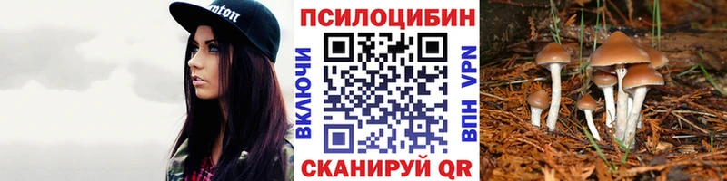хочу наркоту Тихвин Галлюциногенные грибы мицелий