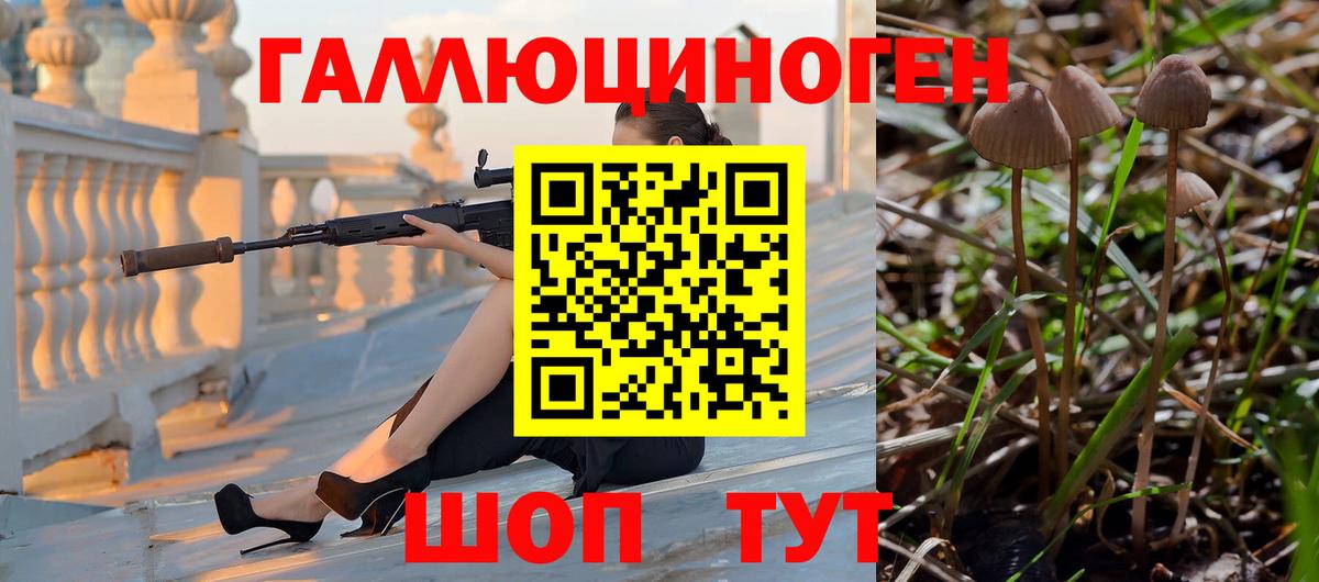 Псилоцибиновые грибы Magic Shrooms Тихвин